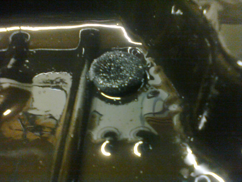 This close-up of the magnet is almost as fuzzy as the magnet itself.